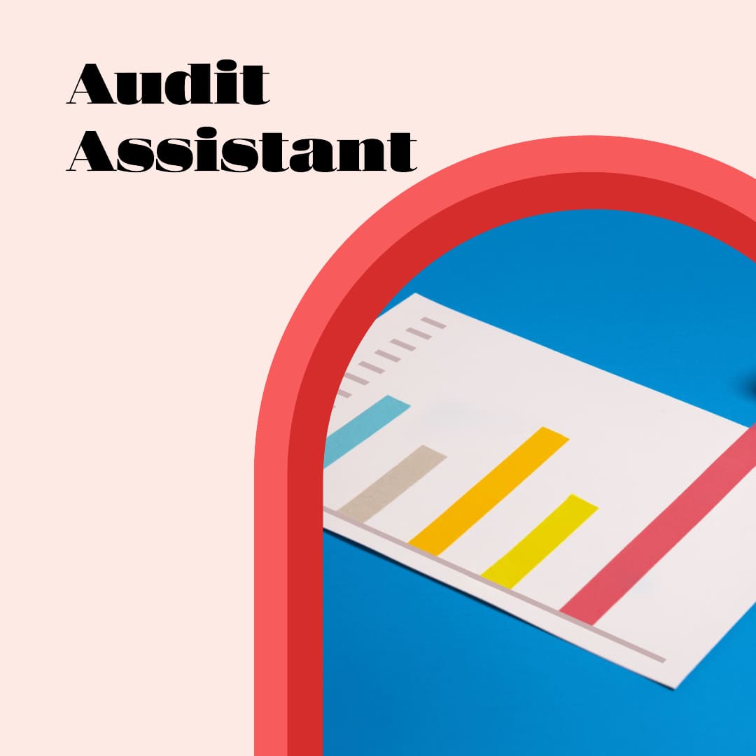 Audit Assistant-Bookkeeping.Support