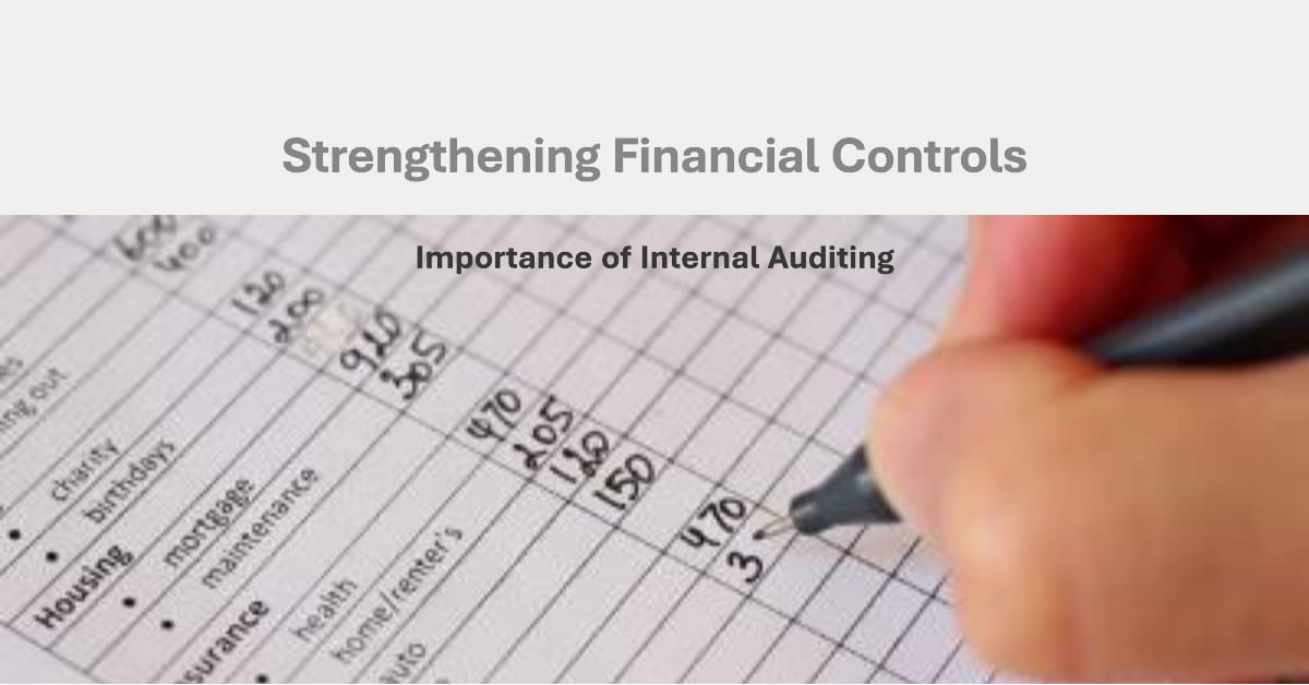 Financial Controls and Internal Auditing