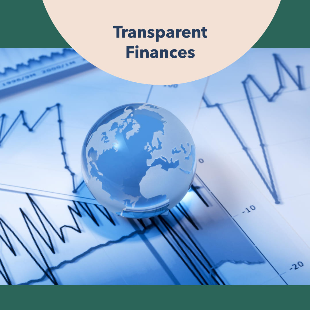 Financial Transparency and Accountability